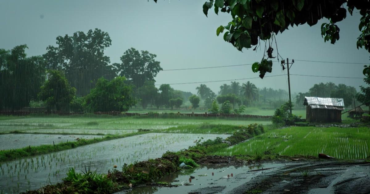 IMD issues thunderstorm and heavy rain warning for Uttarakhand, UP, and Delhi-NCR